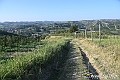 VBS_5758 - C'è un mare di velluto verde! E tu che sognavi di andare lontano... Quanta meraviglia, quì!